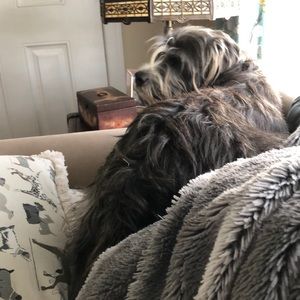 Meet your Posher, Barbara